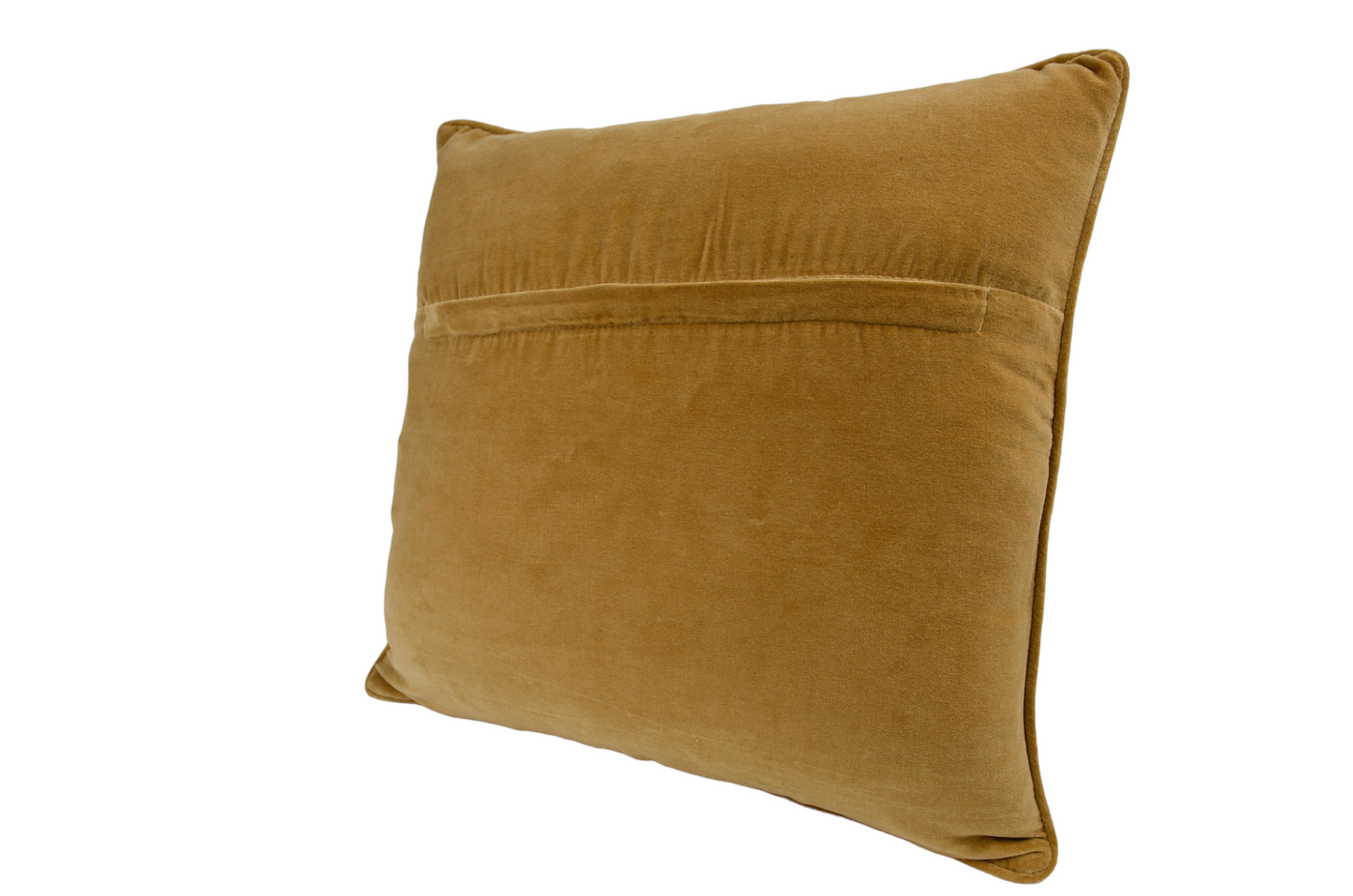 Texas Needlepoint Pillow
